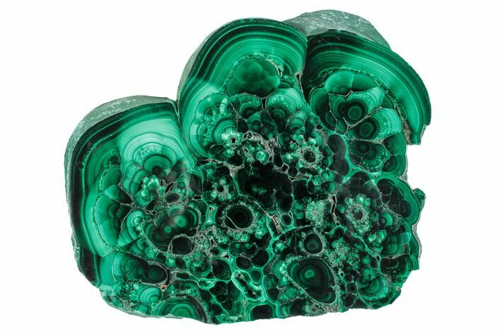 Flowery Polished Malachite Slab - DR Congo #286709